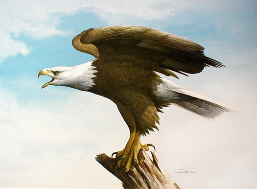 Portrait of a Symbol